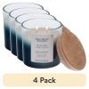 (4 pack)and Blue Fern and Citrus Scented 2-Wick Ombre Jar Candle 12oz.