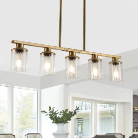 5-Light Modern Industrial Chandelier with Glass Shades