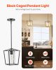 Black Farmhouse Iron Cage Pendant Light with Glass Shade