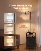 Floor Lamp with Table, 2-Tier End Table with 2 Drawers and 3 Color Temperature Lighting