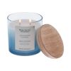 (4 pack)and Oceanside Flannel Scented 2-Wick Ombre Jar Candle 12oz.