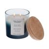 (4 pack)and Blue Fern and Citrus Scented 2-Wick Ombre Jar Candle 12oz.