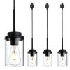 4 Pack H-Type Track Lighting Pendants Black Ceiling Track Hanging Light Fixtures with Clear Glass Shades, Compatible with H Type Track Lighting Rail
