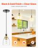 VEVOR 1-Light Pendant Light, 2 Pack, Kitchen Island Lights with Clear Glass Shade & Hanging Cord, Black and Gold Finish, Adjustable Height