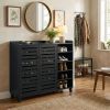 Black Shoe Cabinet with 2 Doors & Open Shelves