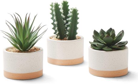 Artificial Succulent Plants in Ceramic Pots Faux Cactus Set of 3