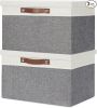Collapsible Storage Bins with Lids – 2-Pack