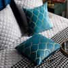 18x18 Inch Gold Velvet Throw Pillow Covers: 2 Pack Square Decorative Pillow Cases for Bedroom Sofa Couch Living Room, Turquoise