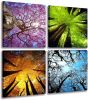 Four Seasons Tree Canvas Wall Art Set (4 Panels)