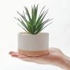 Artificial Succulent Plants in Ceramic Pots Faux Cactus Set of 3