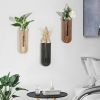 Indoor Wood Wall Planter Set of 3 for Plants - Boho Handmade Hanging Propagation Station with Curved Rainbow Design, Wall Mounted Vase for Flowers