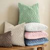 Throw Pillow Covers 18x18 Inch Set of 2, Soft Plush Faux Wool Beige Solid Couch Pillow Covers