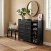 Black Shoe Cabinet with 2 Doors & Open Shelves