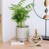 Abstract Reading Thinker Statue – Aesthetic Decor