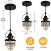 Industrial Black Metal Cage Pendant Light