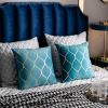 18x18 Inch Gold Velvet Throw Pillow Covers: 2 Pack Square Decorative Pillow Cases for Bedroom Sofa Couch Living Room, Turquoise