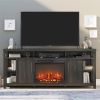23" Electric Fireplace Insert with Remote, Timer & Log Set
