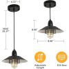 Farmhouse Vintage Black Pendant Light with Spring Frame