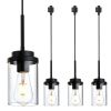 4-Pack H-Type Track Lighting Pendant Lights – Black with Glass Shades