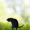 Black Cat Metal Garden Statue – Hollow Cutout Design