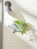Galvanized Pig Wall Planter - Rustic Farmhouse Decor for Indoor or Outdoor Use