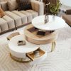 Modern Round Lift-top Nesting Coffee Tables with 2 Drawers